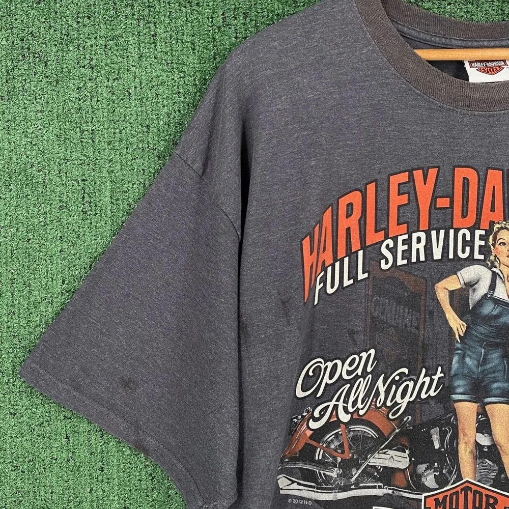 Harley-Davidson Gray Graphic T-Shirt